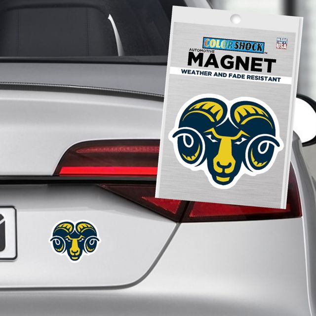 Shepherd University 4'' x 4'' Magnet