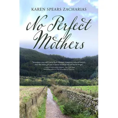No Perfect Mothers