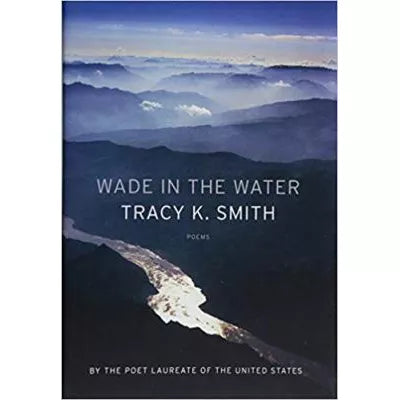 Wade in the Water